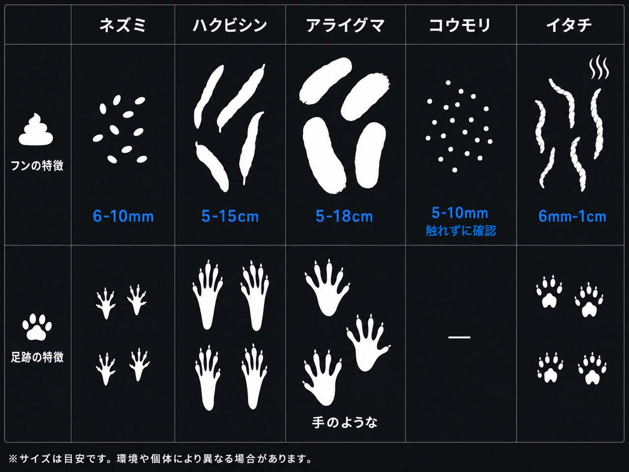 痕跡比較図：糞・足跡・臭いの5パターンをサイズ表示付きで並べる